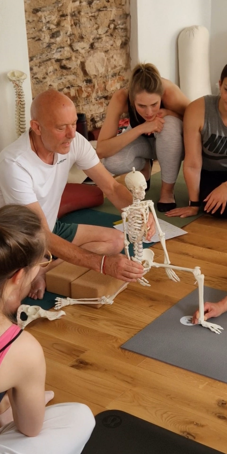 Anatomie-yoga-therapie-ausbildung